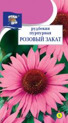 цв.мног. РУДБЕКИЯ  ПУРПУРНАЯ  РОЗОВЫЙ ЗАКАТ  / Урожай у Дачи /  